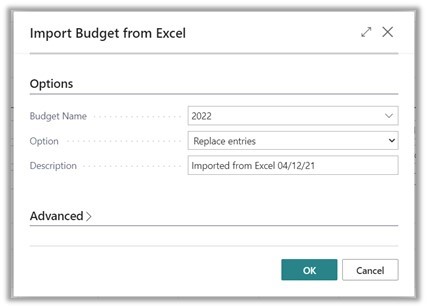 Import budget from Excel options