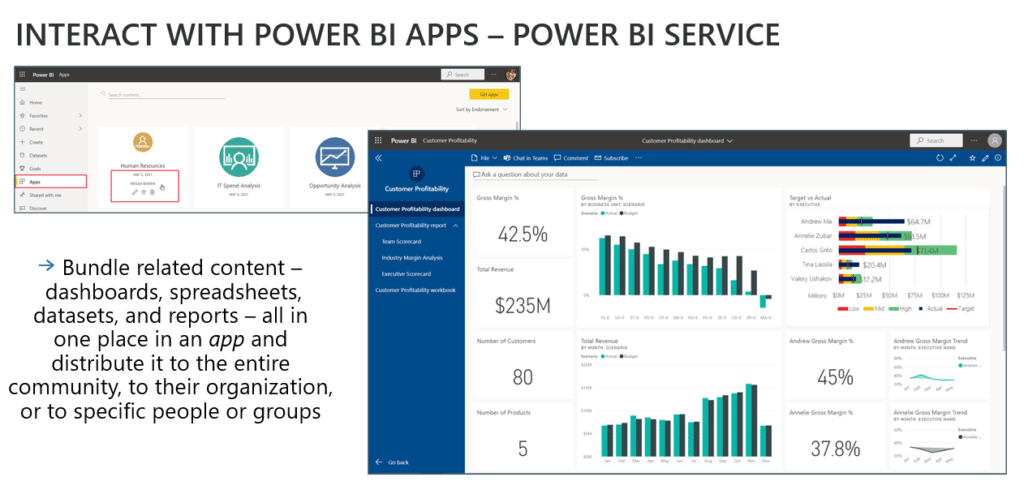 Dynamics 365 Customer Insights and Power BI Apps and Service