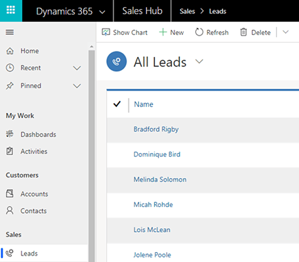 Leads Microsoft CRM 0