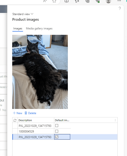 Uploading a JPEG example