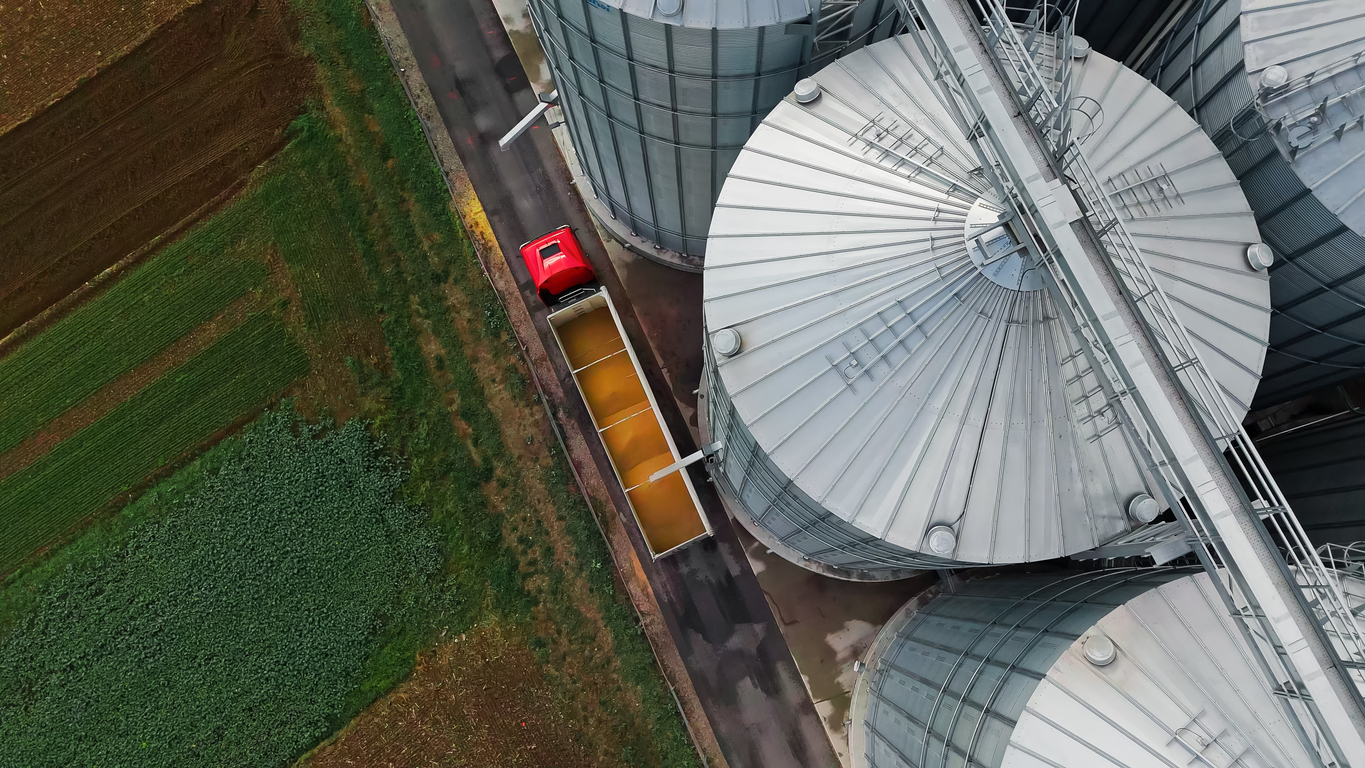 Grain Truck Being Filled Commodity Harvesting