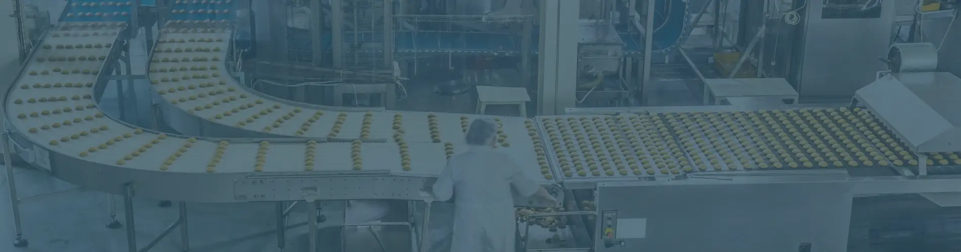 food manufacturing machine